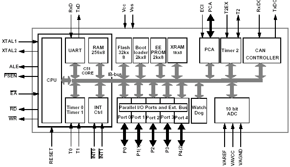   T89C51CC01